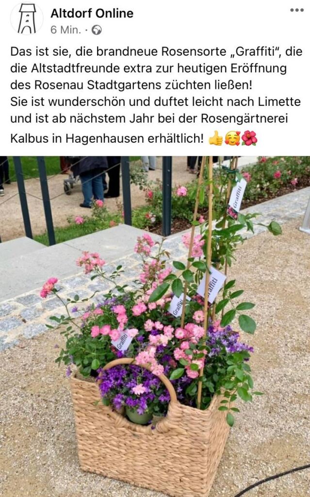 eröffnung